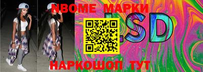 крисы Новодвинск