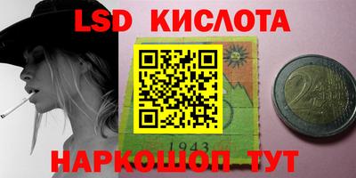 крисы Новодвинск