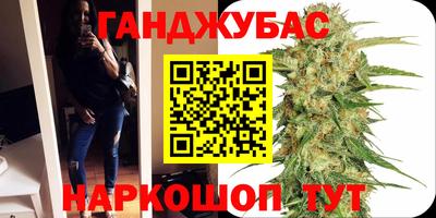 крисы Новодвинск