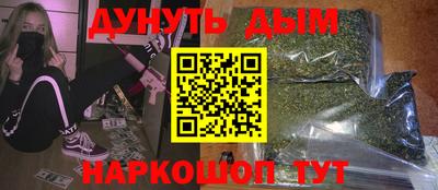 крисы Новодвинск