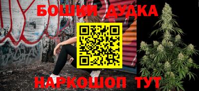 крисы Новодвинск