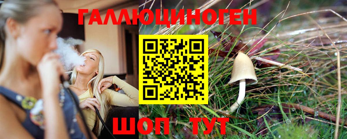 Галлюциногенные грибы GOLDEN TEACHER  Галлюциногенные грибы Psilocybine cubensis  Вход с VPN  как найти закладки  Сургут 